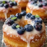 Baked Blueberry Donuts Vegan Gluten Free: 7 Healthy Delights First Image